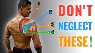 The Best Rotator Cuff Strengthening Routine BULLETPROOF YOUR SHOULDERS [upl. by Eitirahc949]