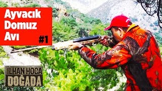 Ayvacık Domuz Avı  1Bölüm ilhan Hoca Doğada  Yaban Tv Wild boar Hunting Turkey [upl. by Akierdna]