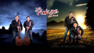 LOS PUKAS MIX HUAYNOS 2 [upl. by Nnylyrehc]