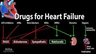 Pharmacology Drugs for Heart Failure Animation [upl. by Ecnerual434]