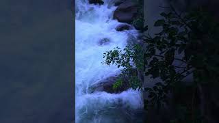 Monsoon Kerala forests Location Nilambur kerala nilambur nature waterfall travel [upl. by Demmer]