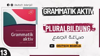 GRAMMATIK AKTIV A1 B1  PLURALBILDUNG  DEUTSCH BDARIJA  13 [upl. by Anyel]