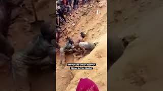 Watch Miners in Congo Make Dramatic Escape From Collapsed Gold Mine [upl. by Ardaed872]