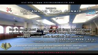 Muhammad Taha Al Junaid Dewasa Surat AliImran 4261 Terjemahan Bahasa Indonesia [upl. by Niran]