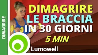 5 Minuti di Esercizi per Dimagrire le Braccia in un Mese [upl. by Arreik]