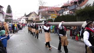 Sonntagsumzug Dingelsdorf 25012015 [upl. by Allard181]