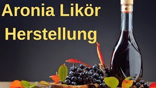 ⭐⭐ Aronia Likör selber herstellen  schnelles Aronia Likör Rezept ⭐⭐ [upl. by Dadivitan526]