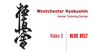 03 Westchester Kyokushin Karate BLUE BELT [upl. by Neomah]