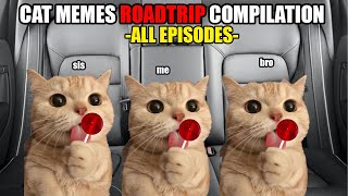 Cat MEMES Roadtrip Compilation Full 1 Hour [upl. by Brittni]