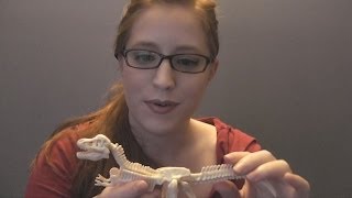 ASMR Paleontologist Role Play [upl. by Nytsuj]