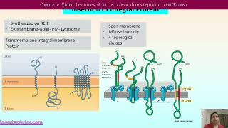 Topology of Integral Membrane Protein  Insertion in ER  CSIR Life Science  GATE doorsteptutor [upl. by Netti633]