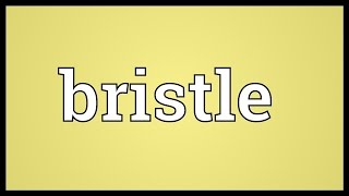 Bristle Meaning [upl. by Perri]