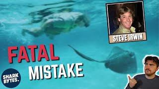 How Did THIS Stingray KILL Steve Irwin [upl. by Llerdnam]