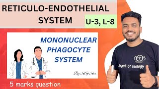 Reticuloendothelial system  res system  tissue Macrophage system  mononuclear phagocyte system [upl. by Aranat310]