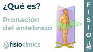 PRONACIÓN  Qué es qué parte del cuerpo realiza este movimiento  FisioClinics Palma [upl. by Erbe]