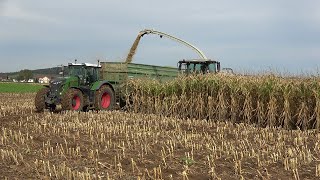 Mais 2024 LU Norbert Mäser Claas Jaguar 970 mit verschiedenen Abfahrern in der Wetterau [upl. by Farant]