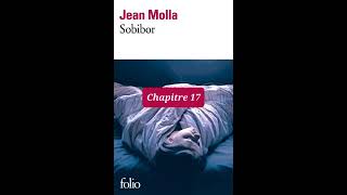 17  Sobibor  livre audio  Chapitre 17  Jean Molla  lecture et résumé [upl. by Assilem]