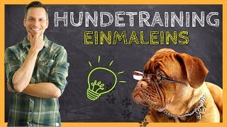 HUNDETRAINING Einmaleins  Grundlagen für eine ERFOLGREICHE Hundeerziehung [upl. by Tarfe]