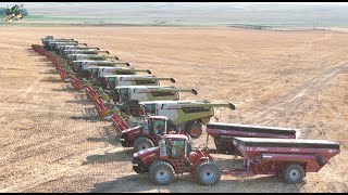 Colorado Wheat Harvest 2024 with 12 Claas Lexion Combines [upl. by Dedie981]