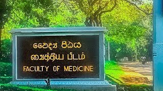 Peradeniya University faculty of medicine road 🌱🌸🥀🍀🪴🌲⛰️  drone view 🤩 [upl. by Gall]