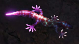 MHW All Terrestrial Endemic LifePets Timestamps In Description [upl. by Maisel228]