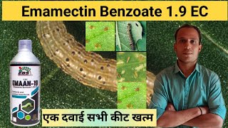 EMAMECTIN BENZOATE 19 EC Insecticide  Contact amp Systemic Insecticide [upl. by Akinor]