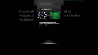 difference between photosynthesis and chemosynthesis [upl. by Kira]