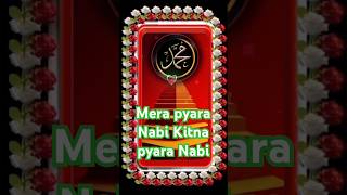 mera pyara Nabi Kitna pyara nabishortislamic islamicshort ytshort Assafa studio [upl. by Aubreir]