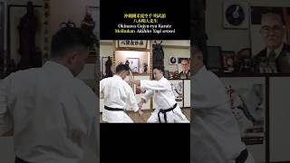 Hook and strike with the bone Awesome Okinawan karate [upl. by Amadas]