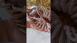 ISÓPODE GIGANTE😳😱 seafood comidaasiatica fish comidaoriental seafoodrecipes streetfood [upl. by Jade]