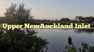 Land Based Fishing Upper New Auckland Inlet Gladstone Lowtide ep01 [upl. by Nylekoorb356]