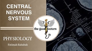 Lecture 6  Limbic System  Physiology CNS [upl. by Nitsid478]