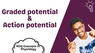 Graded Potential and Action Potential  MCQ concepts [upl. by Tseng]