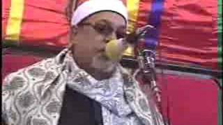 Sheikh Sayyid Saeed  Egypt [upl. by Ahsitram]