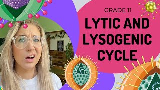 Virus Reproduction  Lytic and Lysogenic cycles [upl. by Grados521]