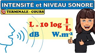 Intensité sonore I et niveau dintensité sonore L en dB  atténuation  PHYSIQUE  TERMINALE [upl. by Maggie]