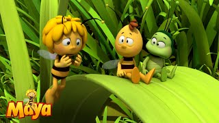 Should We Help the Frogs  Maya the Bee🐝🍯🐝 [upl. by Elonore]