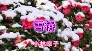 雪椿 小林幸子 cover たっちゃん [upl. by Lexis]