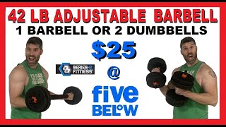 42 lb Adjustable Barbell Review  25 at Five Below  Series 8 Fitness Barbell or Dumbbells Weights [upl. by Shirlene]