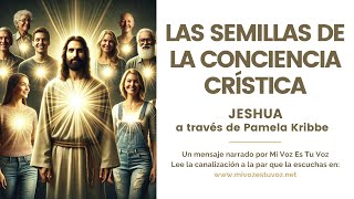 LAS SEMILLAS DE LA CONCIENCIA CRÍSTICA  Jeshua a través de Pamela Kribbe [upl. by Aeneus622]