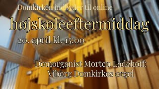 Højskoleeftermiddag Viborg Domkirkes orgel [upl. by Sregor]