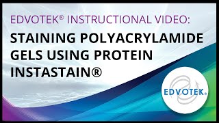 Staining Polyacrylamide Gels using Protein Instastain [upl. by Lati418]