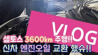 셀토스 첫 엔진오일 교환 신차 3600km 주행 이거 맞아 [upl. by Salisbury529]