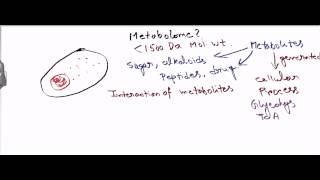 Metabolome [upl. by Swisher]