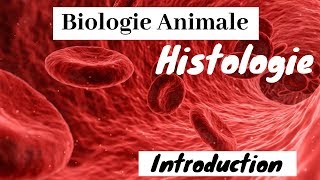 Biologie Animale s1  Histologie  Introduction   شرح بالدارجة [upl. by Meriel]