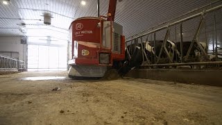 How Robots Are Saving the Dairy Farm [upl. by Lubin962]