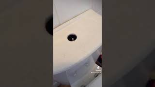 How to remove a toilet cistern lid push button [upl. by Stutman83]