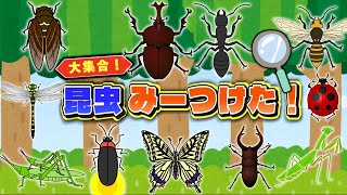 【昆虫図鑑】子どもがよろこぶ！動く実写昆虫アニメ！楽しく昆虫を覚えよう！ [upl. by Leisam117]