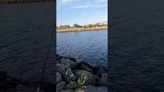 fishing at the warmies come sub to my channel [upl. by Presber]