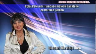 COLAJ CELE MAI FRUMOASE MELODII BANATENE CU CARMEN SERBAN ZOOM STUDIO [upl. by Denton778]